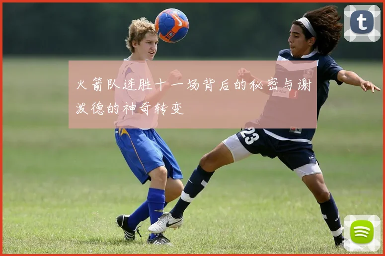 火箭队连胜十一场背后的秘密与谢泼德的神奇转变